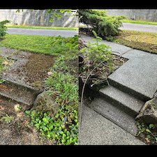 High-Quality-Pressure-Washing-in-Seattle-WA 3